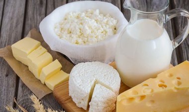 Восточный Казахстан намеревается расширить молочные лакомства