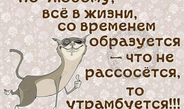 Прикольные фразы