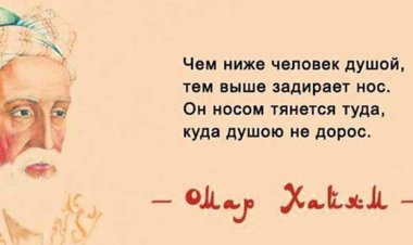 Остроумно про жизнь