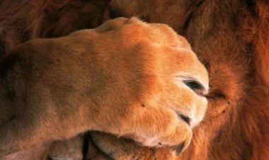 7 ошибок, которые должен совершить каждый человек