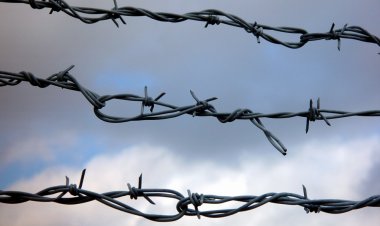 Отсидевший на 20 лет больше положенного срока американец вышел на свободу