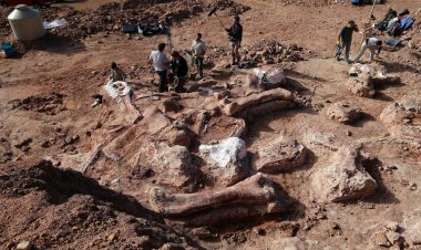 В Антарктиде ученые обнаружили свыше тонны останков динозавров