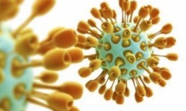 Как не заразиться вирусом MERS - советы специалистов