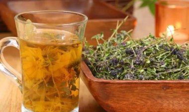 Рецепт для продления жизни