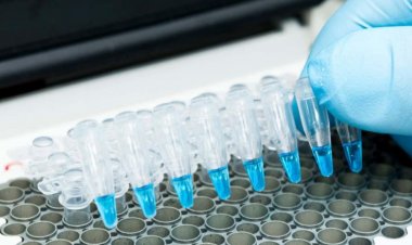 Почему тест на коронавирус методом ПЦР дает разные результаты