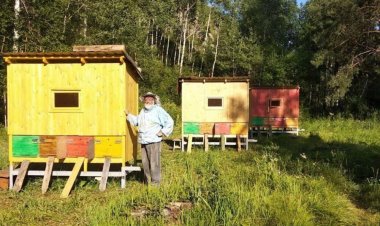 Пасечник из Риддера практикует лечебный сон на пчёлах