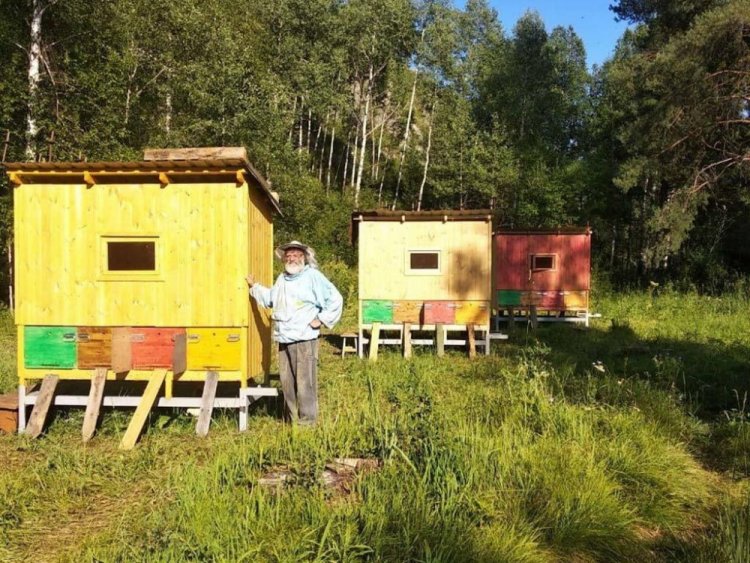 Пасечник из Риддера практикует лечебный сон на пчёлах