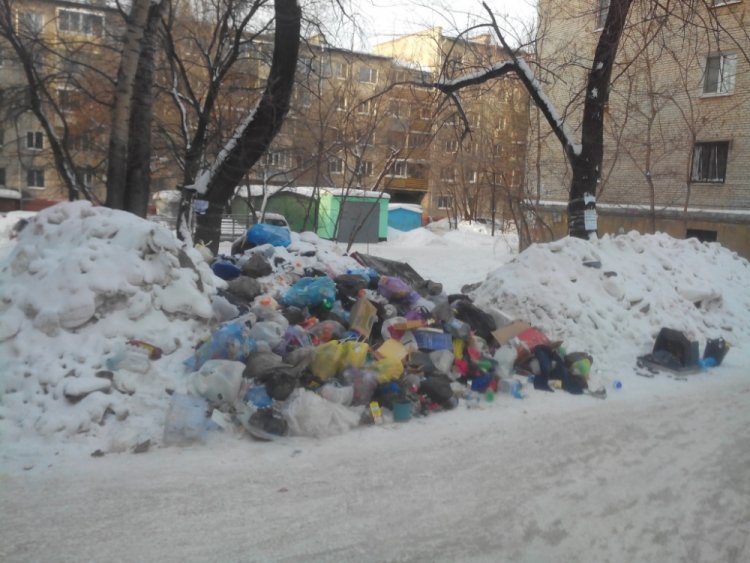 Около 23 тысяч «грязнуль» и курильщиков оштрафовали в Казахстане - МВД РК