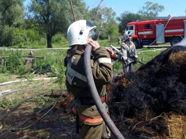 Халатность людей превратила 6 тонн сена в пепел