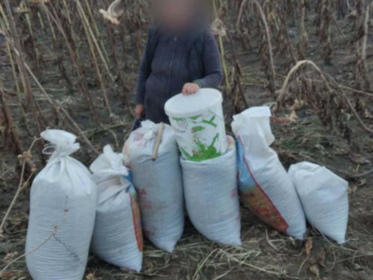 В краже семечек подозреваются жительницы Кокпектинского района