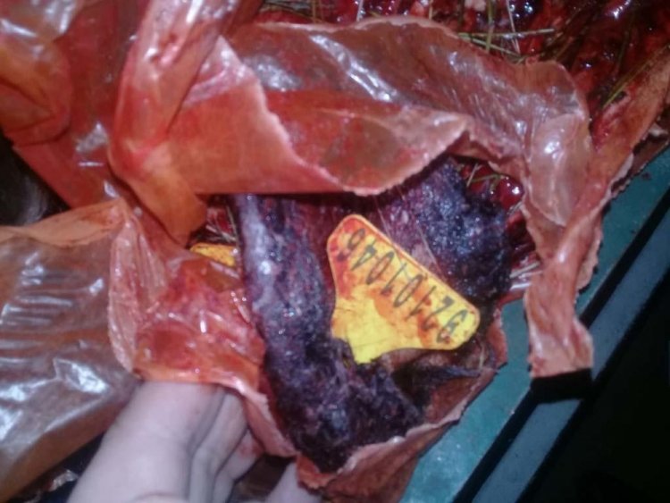 Более 260 фактов незаконной перевозки скота и мясной продукции выявили полицейские