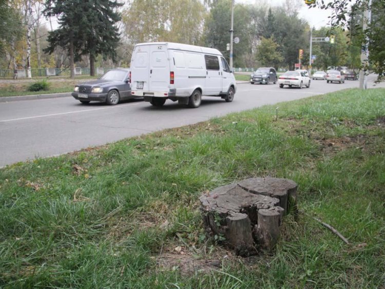 Общественники подали в суд на акимат Усть-Каменогорска и выиграли